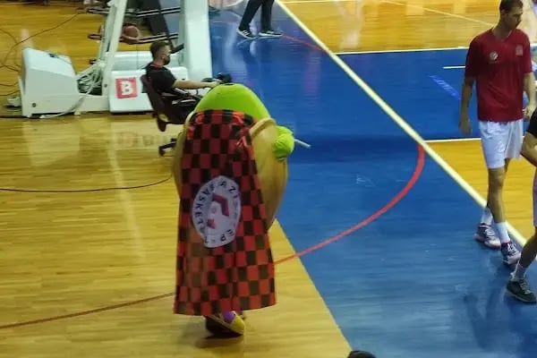 Gaziantep Şahinbey Spor Salonu Karataş - Resim 5