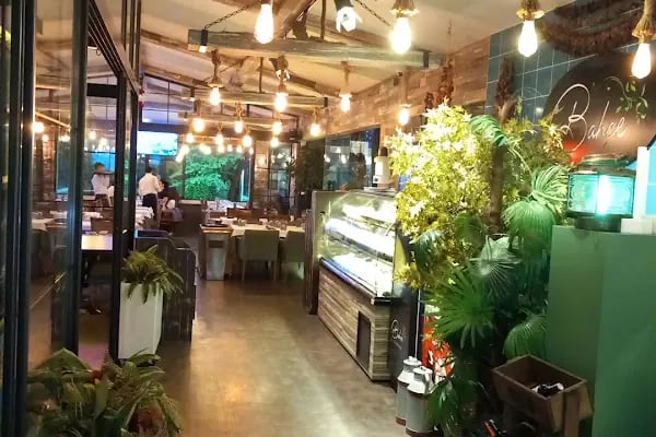 L'Olivetto Restaurant - Resim 6