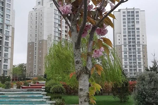Avrupa Konutları - Resim 3