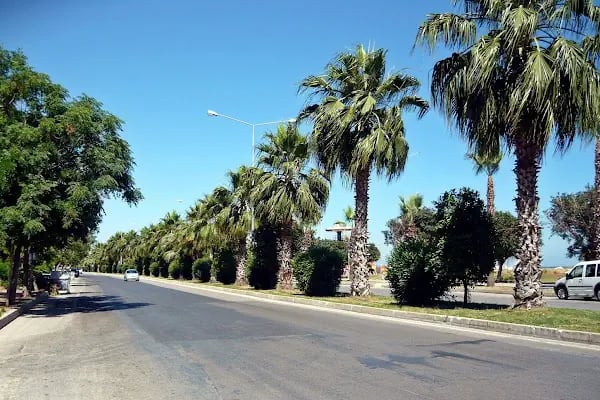 Mersin Üniversitesi - Resim 11
