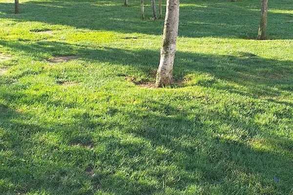 Yenikent Mustafa Akboğa Kapalı Yüzme Havuzu - Resim 14