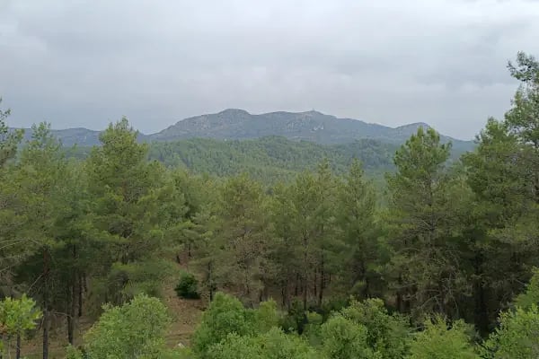 Ekşili Şelalesi - Resim 9