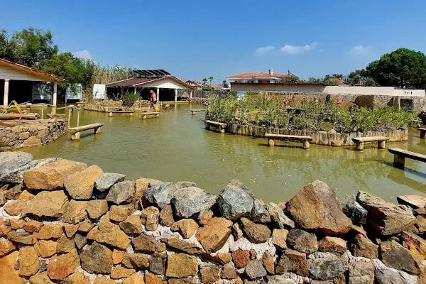 PELOiD Hamam SPA Masaj Salonu Dalyan - Resim 1