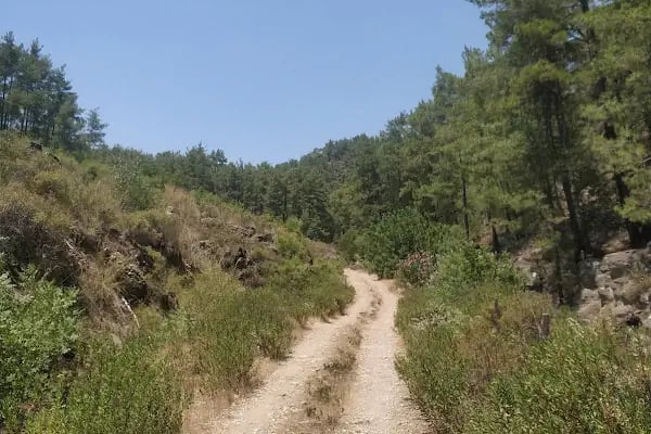 Uçansu Şelalesi - Resim 13