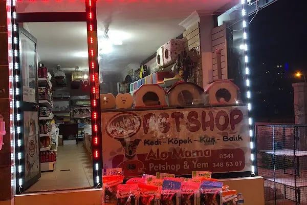 KAŞTAN PETSHOP - Resim 10