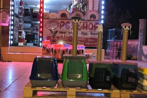 KAŞTAN PETSHOP - Resim 19