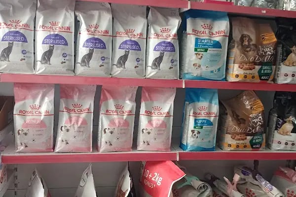KAŞTAN PETSHOP - Resim 17