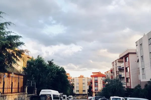 Ali Kuşçu İlkokulu - Resim 6
