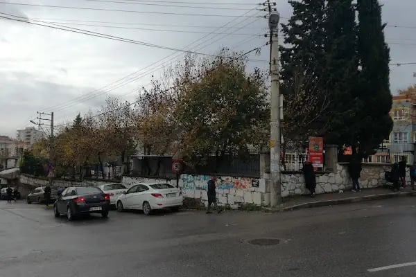 Ali Kuşçu İlkokulu - Resim 10