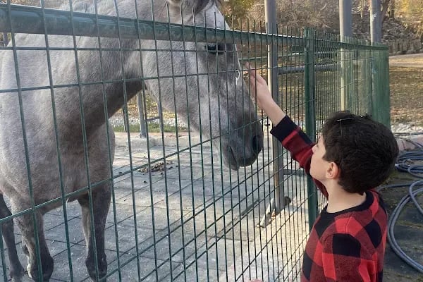 Akçadağ Belediyesi Sultansuyu Sosyal Tesisleri - Resim 13