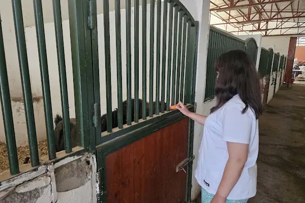 Akçadağ Belediyesi Sultansuyu Sosyal Tesisleri - Resim 16