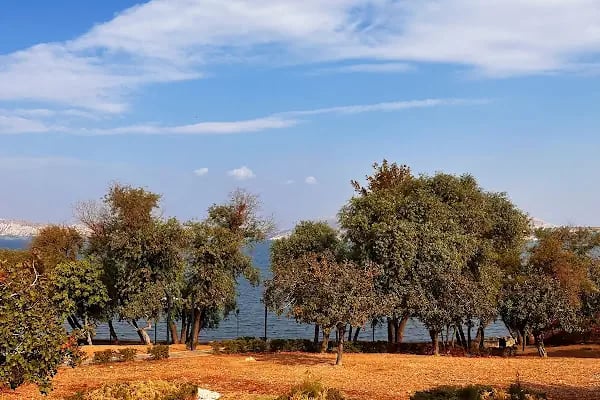Zeugma Sayfiyee Kafe - Resim 12