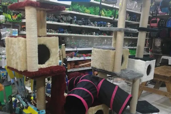 Denizli Twenty Petshop - Resim 8