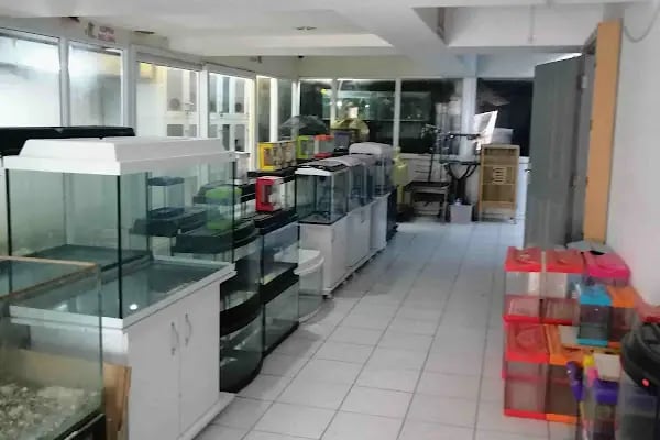 Denizli Twenty Petshop - Resim 16