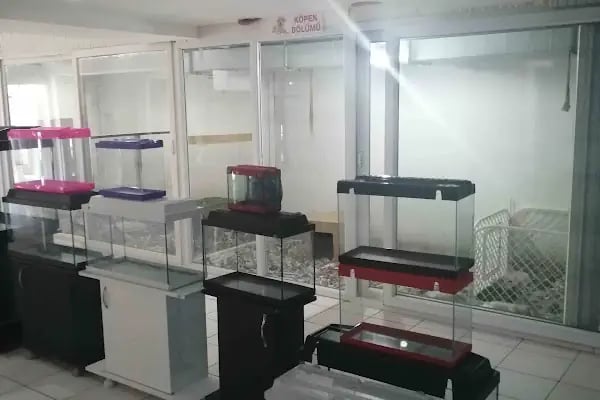 Denizli Twenty Petshop - Resim 9