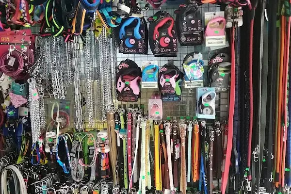 Denizli Twenty Petshop - Resim 13