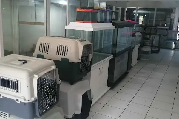 Denizli Twenty Petshop - Resim 3