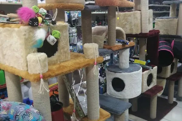 Denizli Twenty Petshop - Resim 4