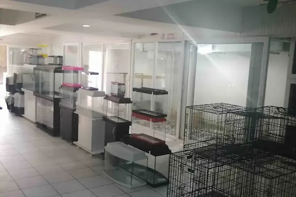 Denizli Twenty Petshop - Resim 6