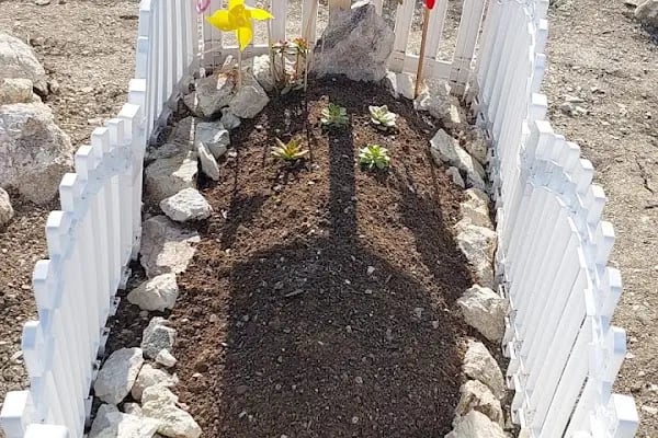 Ankara Pet Mezarlığı - Resim 20