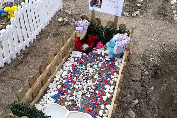 Ankara Pet Mezarlığı - Resim 12