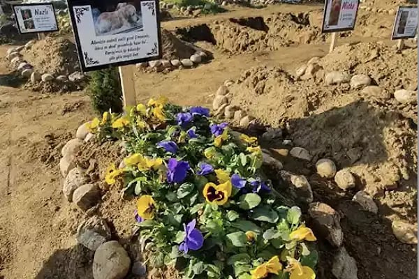 Ankara Pet Mezarlığı - Resim 4