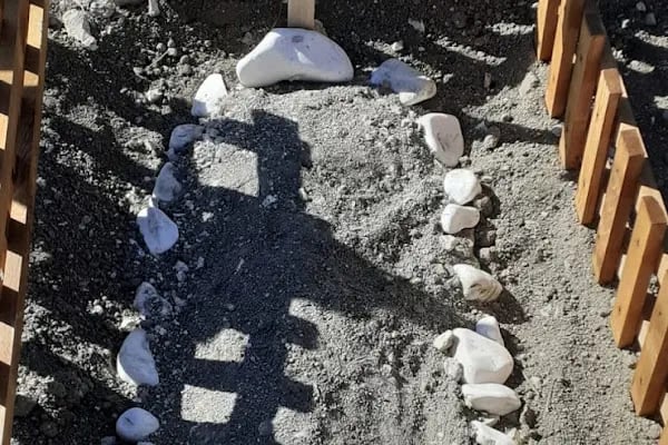 Ankara Pet Mezarlığı - Resim 14