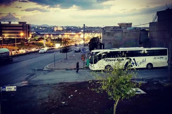 Özlem Cizre Nuh - Resim 11