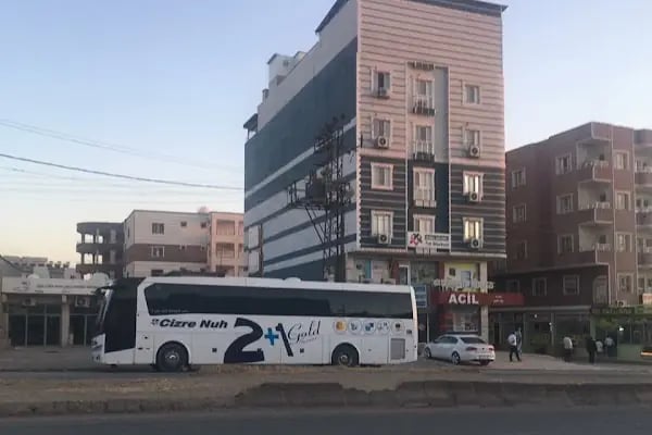 Özlem Cizre Nuh - Resim 9