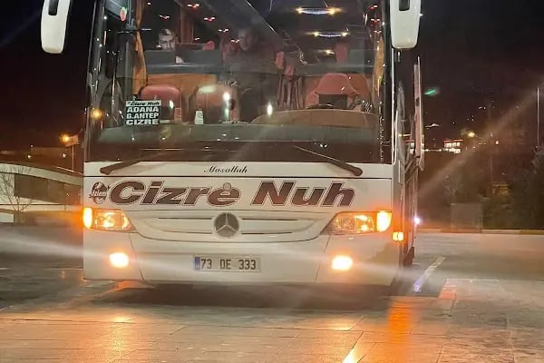 Özlem Cizre Nuh - Resim 17