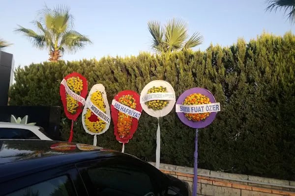 Myrina Garden - Resim 12