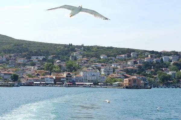Aya Nikola Rum Ortodoks Kilisesi - Resim 19