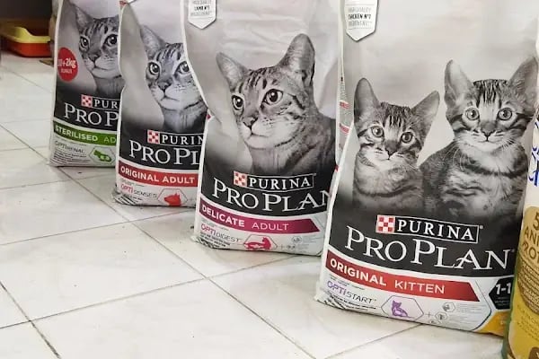 Aktepe Pet Shop Center - Resim 6