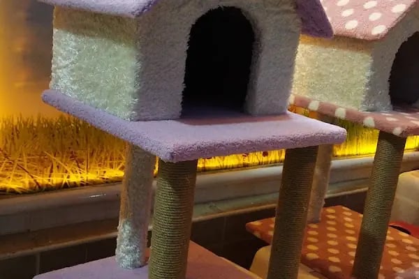 Aktepe Pet Shop Center - Resim 12