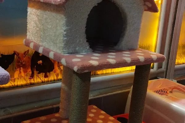 Aktepe Pet Shop Center - Resim 11