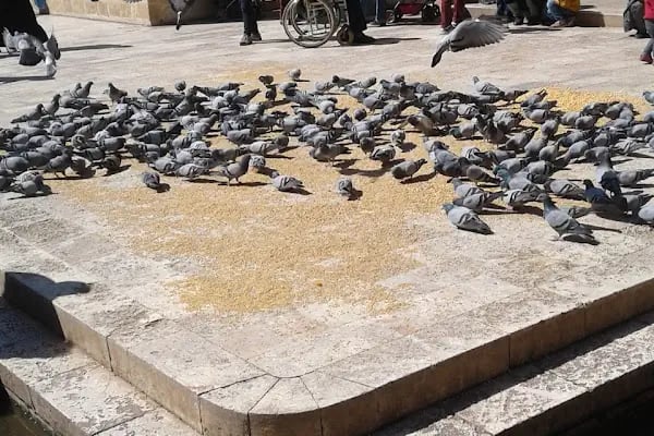 Barış Manço Parkı - Resim 18