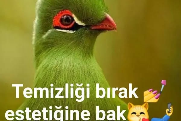 Ev temizlik Şirketi - Resim 5