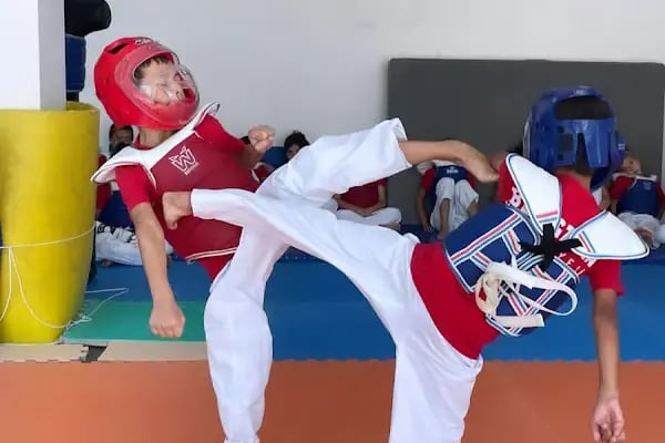 Bergama Erdal Önder Kapalı Spor Salonu - Resim 3