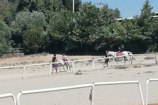 Hancı Eğlence Merkezi - Resim 16