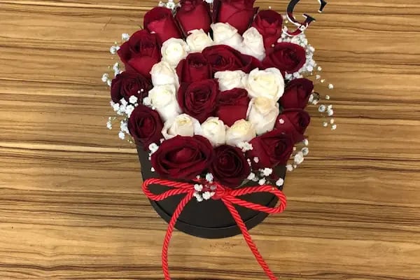 URFA GÜLCAN ÇİÇEK - Resim 5