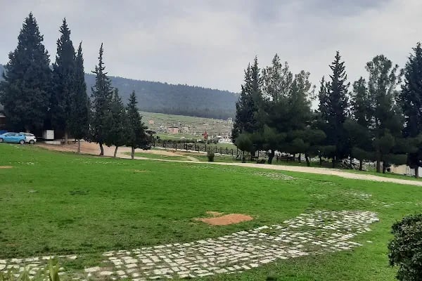 Pamukkale Traverten Otoparkı - Resim 16