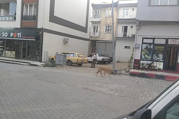 Liva Ağda &amp; Güzellik Salonu - Resim 6