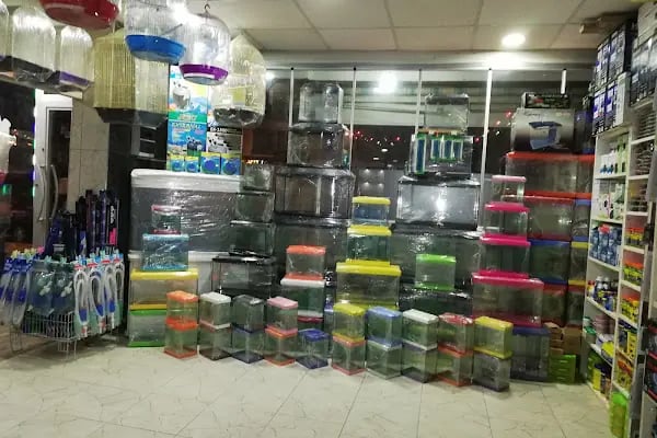 Mavi Tuna Pet Shop - Resim 13
