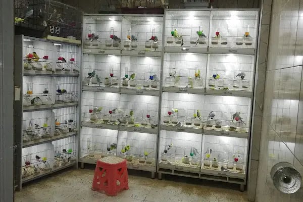 Mavi Tuna Pet Shop - Resim 10