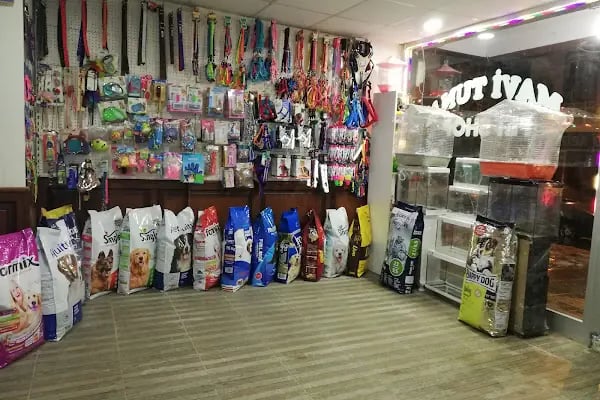 Mavi Tuna Pet Shop - Resim 12
