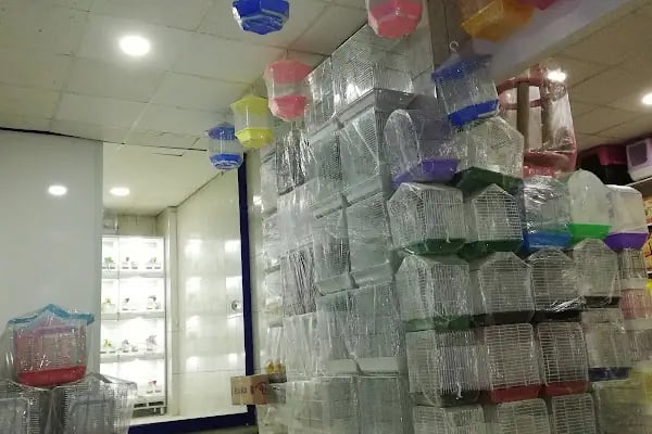 Mavi Tuna Pet Shop - Resim 4
