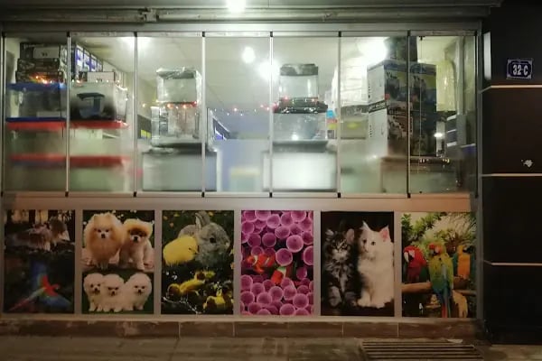 Mavi Tuna Pet Shop - Resim 11