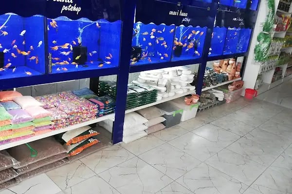Mavi Tuna Pet Shop - Resim 17