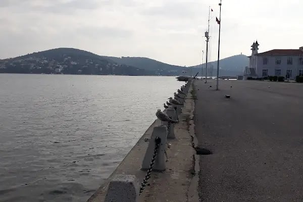 Deniz Lisesi ve Heybeliadalılar Derneği Ormanı - Resim 7