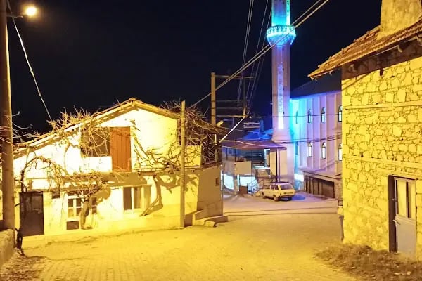 Aliveren mahallesi merkez camii - Resim 2